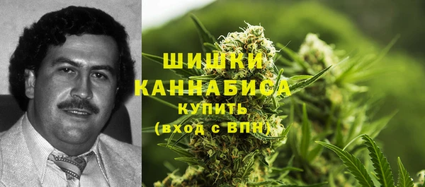 дурь Алзамай