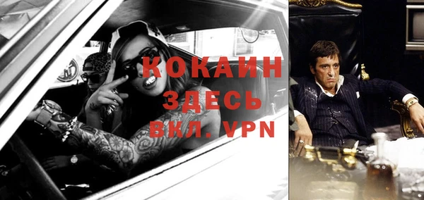 дурь Алзамай