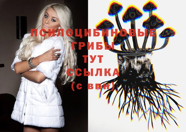 мяу мяу мука Алексин