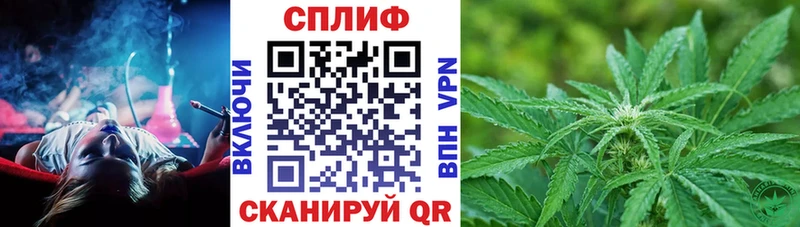Канабис сатива  kraken ссылки  Куровское  купить наркоту 